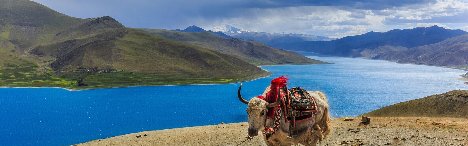 Tibet Travel Permit Guide 2026: Who Needs It & How to Apply