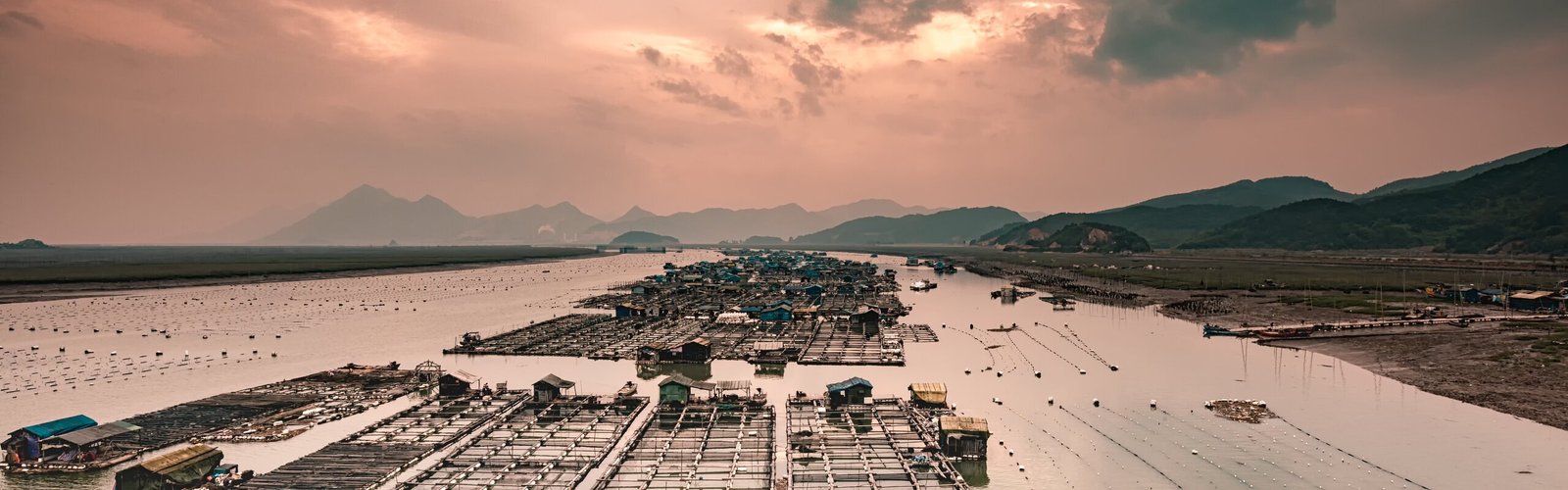 Xiapu's Mudflats and Traditional Countryside Life
