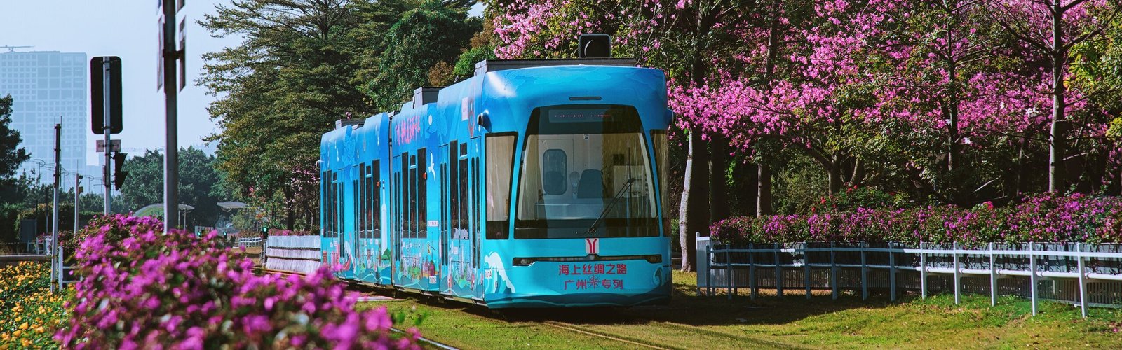 Guangzhou Weather in March: Spring Flowers Blossoms