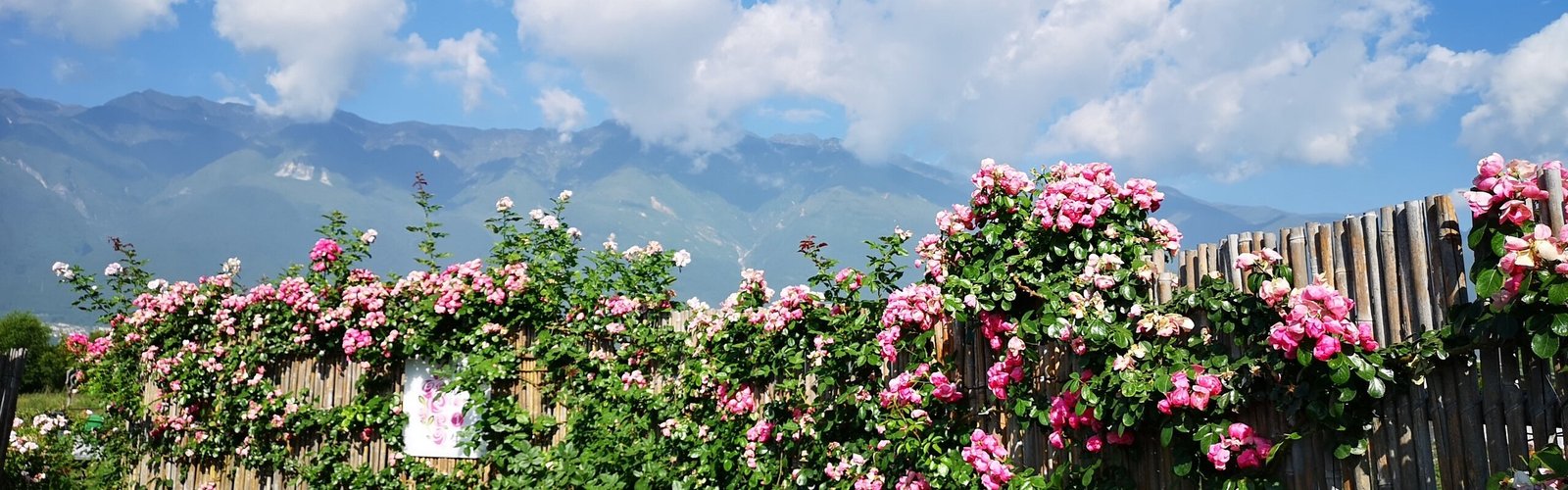 Yunnan Weather in April 2027: Is It a Good Time to Visit? 