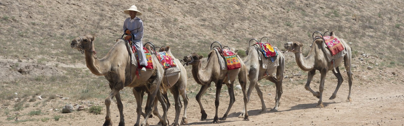  Ningxia Travel Guide - How to Plan a Trip to Ningxia