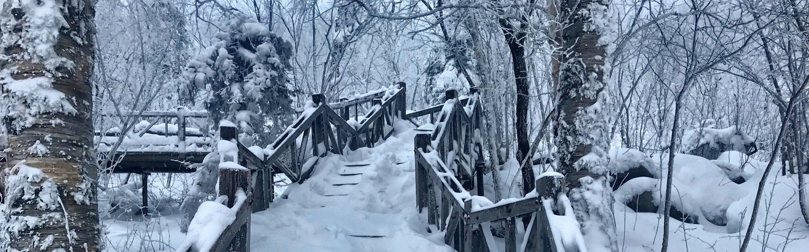 Harbin Weather in November