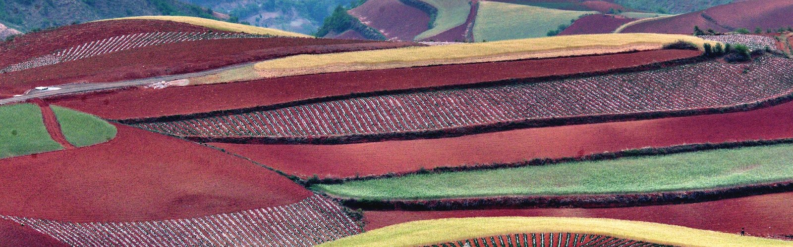3-Day Kunming and Dongchuan Red Land Tour