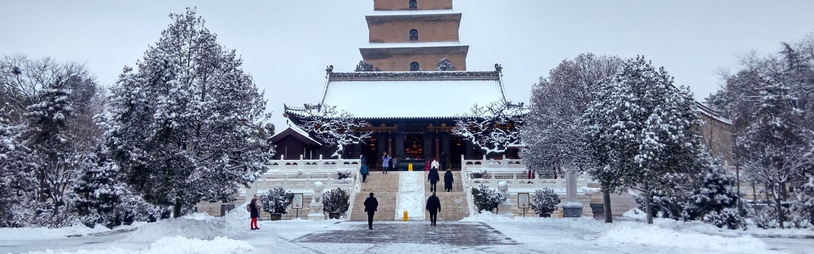 Top 3 City Walks in Xi'an: Picks from a Local Guide