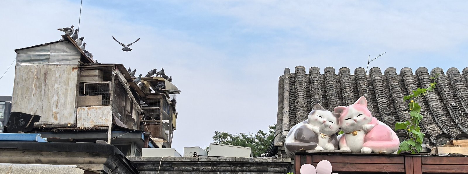 (bj-115)The Old and New Hutong Life: From Ancient Temple to Hipster Cafes