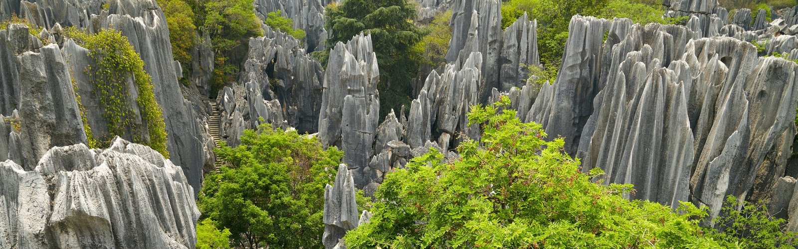 The Top 9 Interesting Things to Do in Kunming