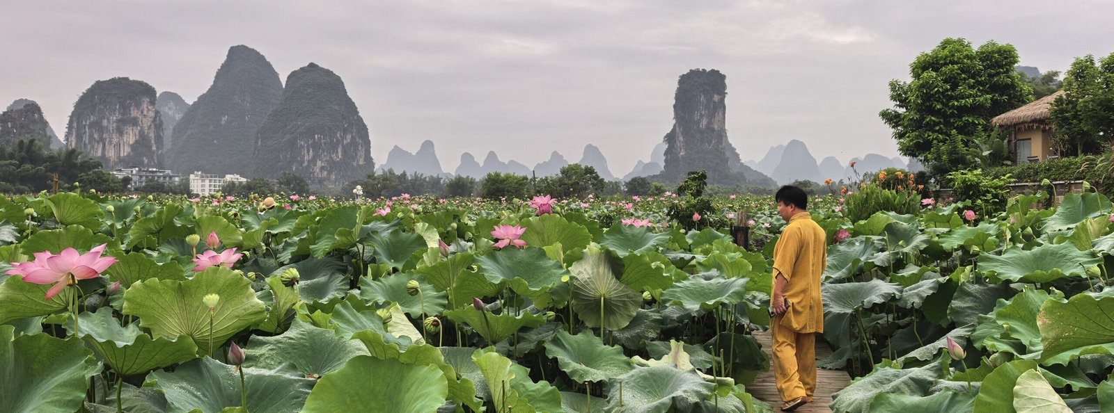 Chronobiological Harmony: A Day-to-Sunset Wellness Reset