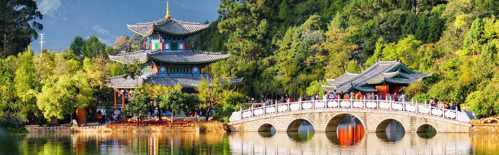  Jade Spring Park 