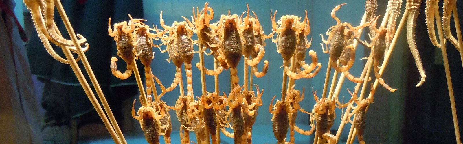 Unusual Ingredients in Chinese Cooking Which May Shock You        