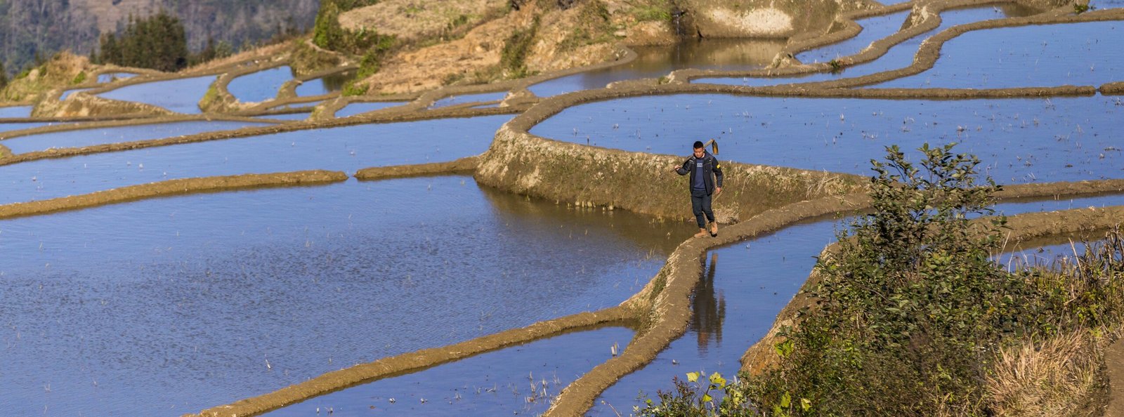 Walking the Hani Ecosystem: Forest, Mushroom Houses, Terraces & Life