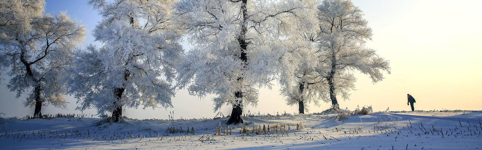 Jilin Travel Guide - How to Plan a Trip to Jilin
