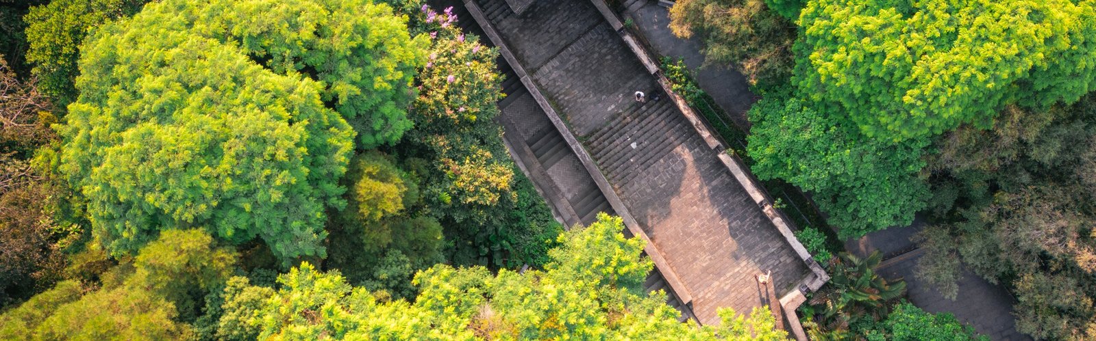 Guangzhou Weather in July: Summer Vacation Peak Season