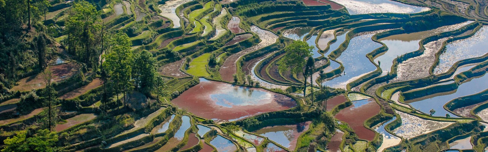 Yuanyang Rice Terraces: How to Visit, Best Times, Itinerary