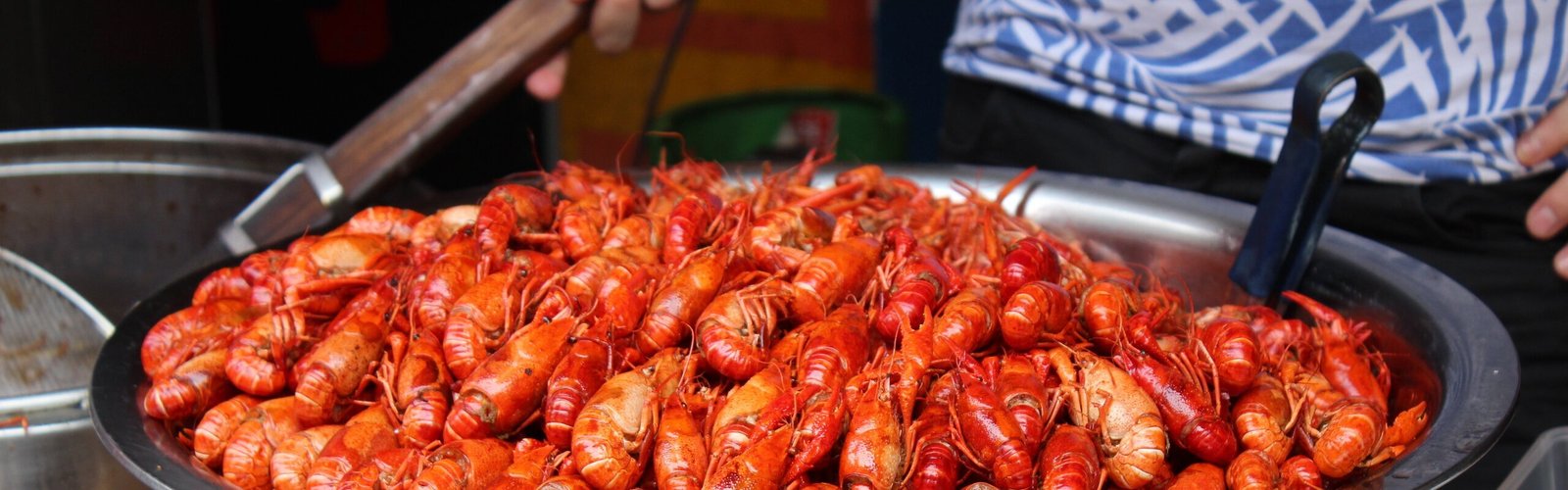 Changsha Food 