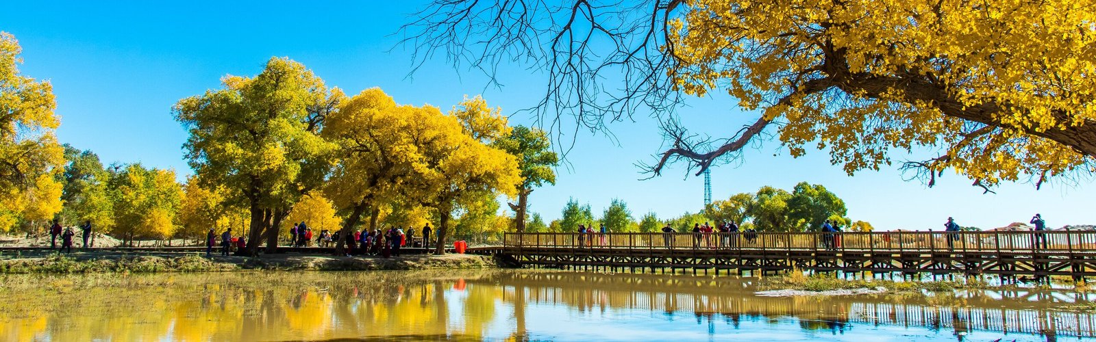 Top 7 Places to Visit in Autumn in China