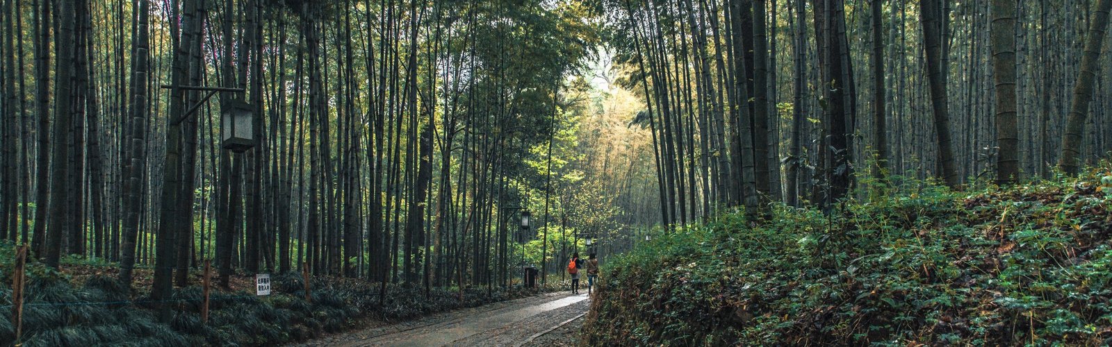  Hangzhou Weather in August 