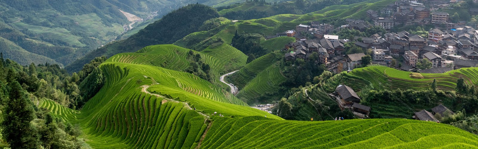 2-Day Longji Terraced Fields Hiking Extension