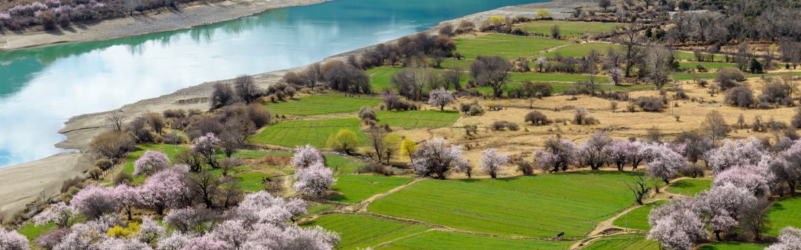 Tibet Weather in March: What to Do and Travel Tips